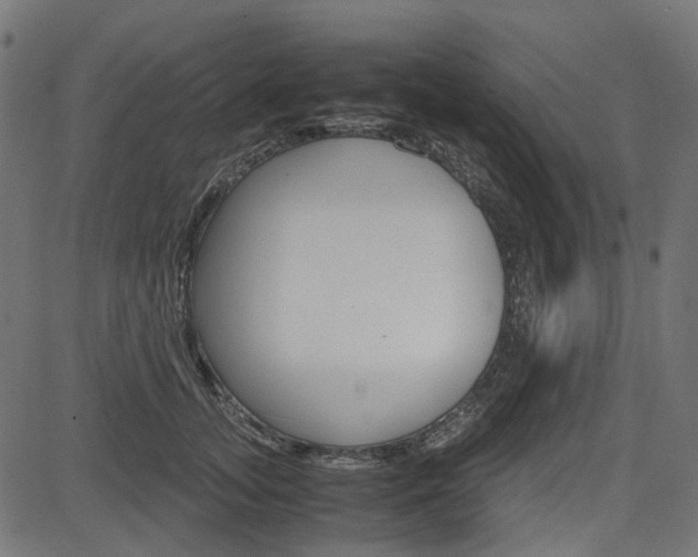 X0000082950755200702011047