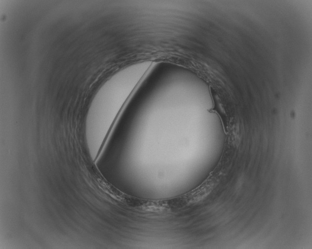 X0000082950756200702011047
