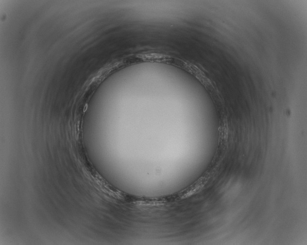 X0000082950763200702011048
