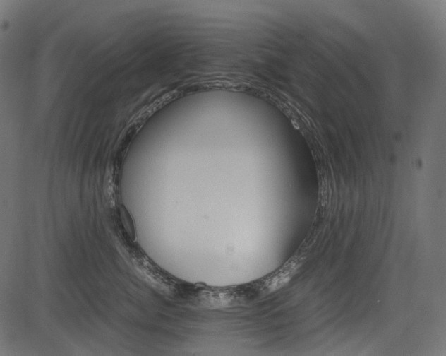 X0000082950764200702011048