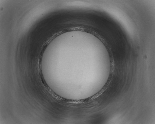 X0000082950765200702011048