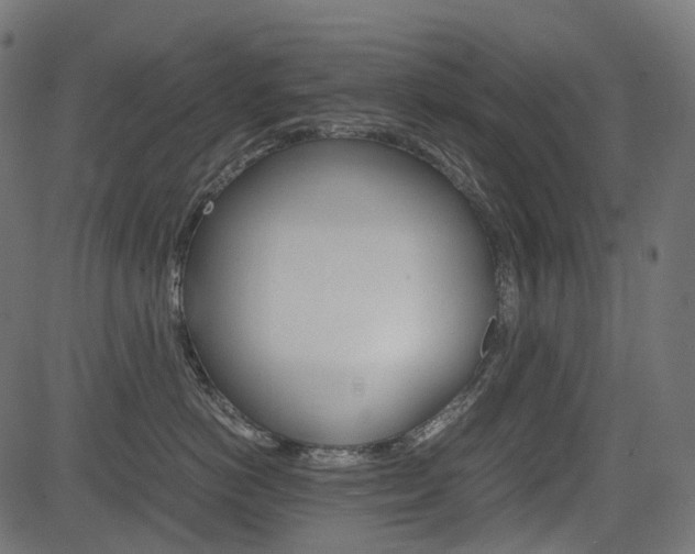 X0000082950766200702011048