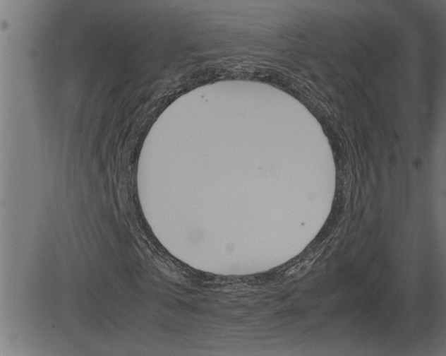 X0000082950769200702011047