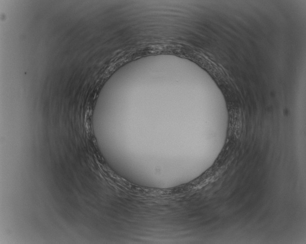 X0000082950770200702011047