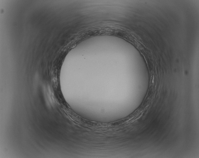 X0000082950771200702011047