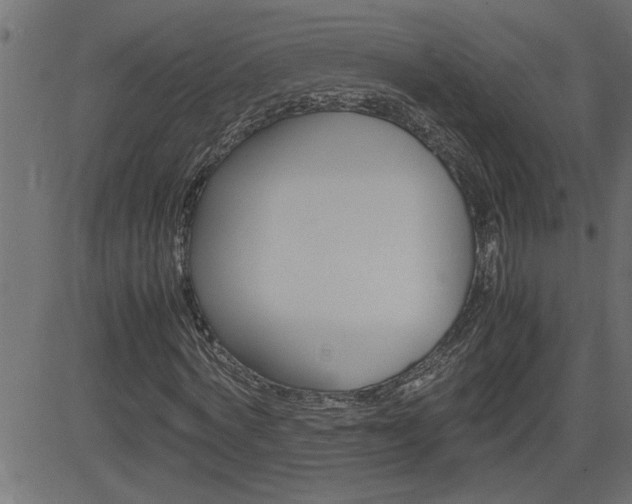 X0000082950772200702011047