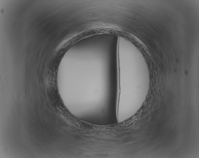 X0000082950775200702011047