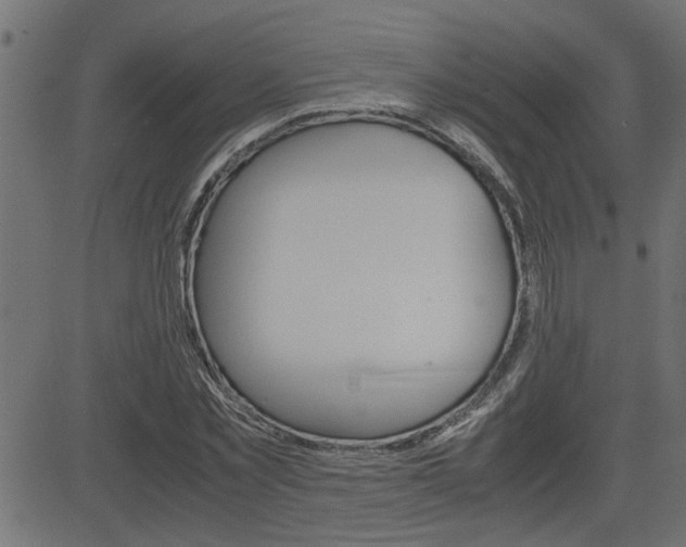 X0000082950781200702011047