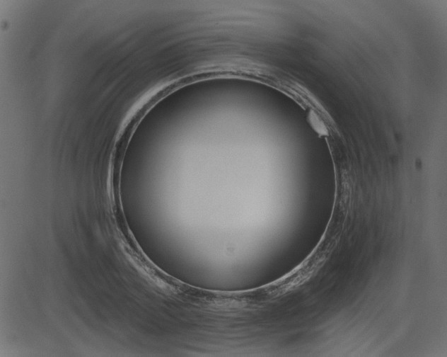 X0000082950788200702011047