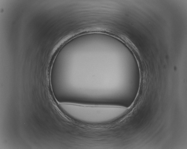 X0000082950789200702011046