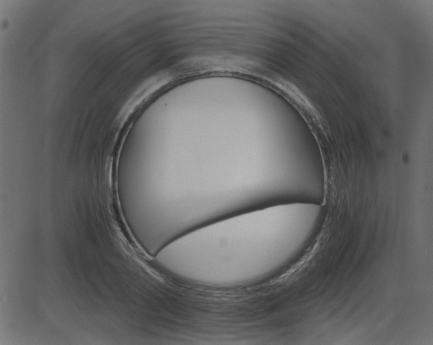 X0000082950790200702011046