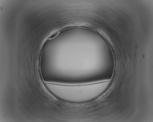 X0000082950797200702011046