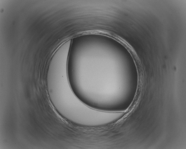 X0000082950809200702011046