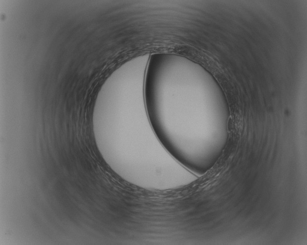 X0000082950818200702011045