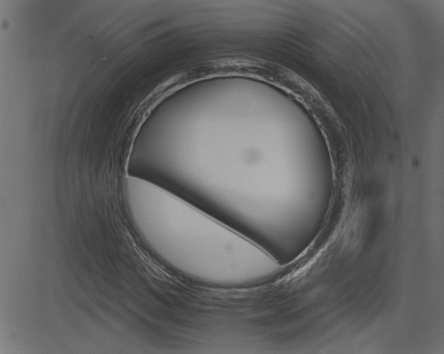 X0000082950825200702011045
