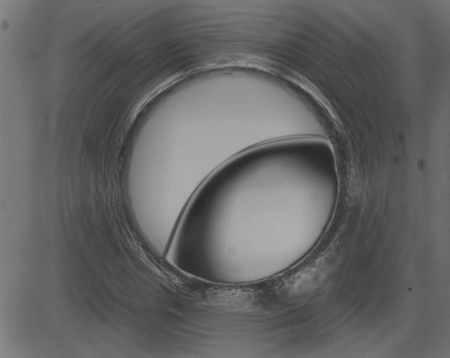 X0000082950826200702011045