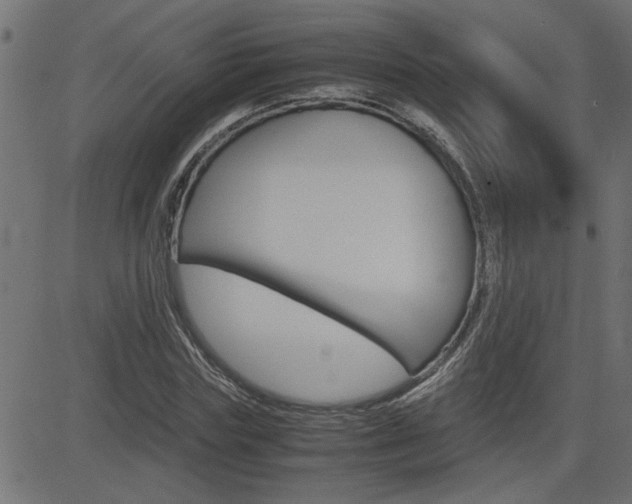X0000082950827200702011045