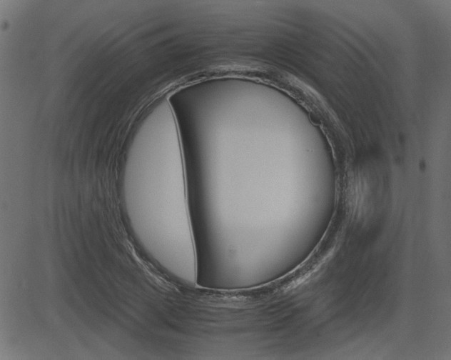 X0000082950833200702011046