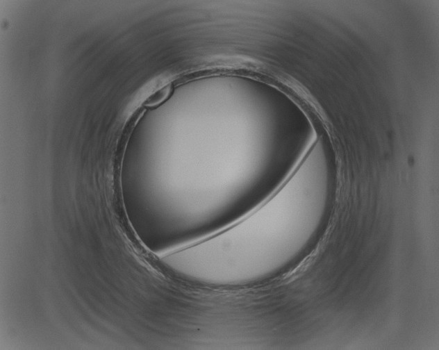 X0000082950834200702011046