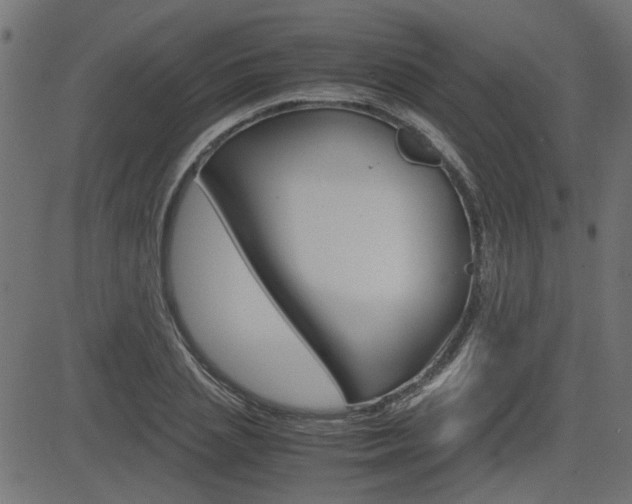X0000082950837200702011046