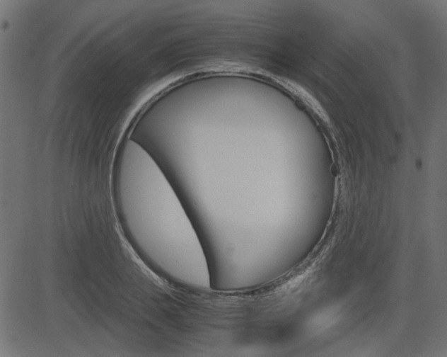 X0000082950839200702011046