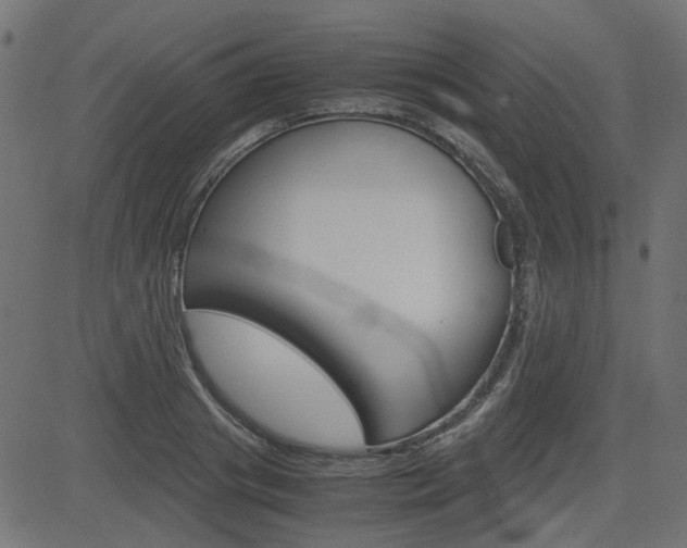 X0000082950841200702011046