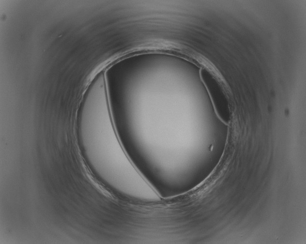 X0000082950842200702011046