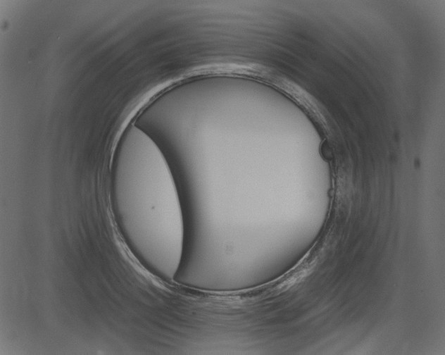 X0000082950844200702011046