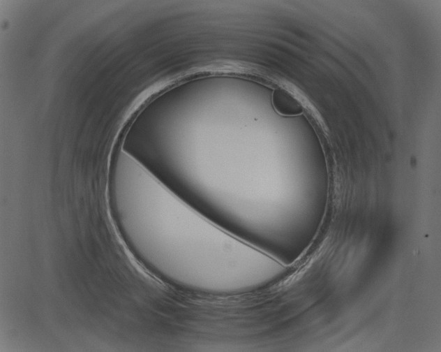 X0000082950845200702011046