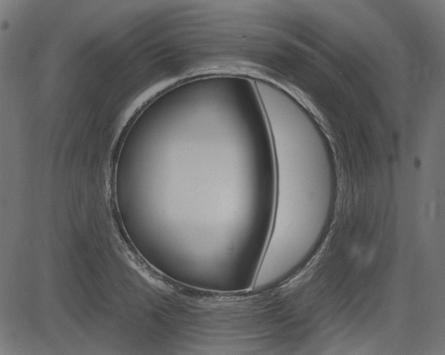 X0000082950846200702011046