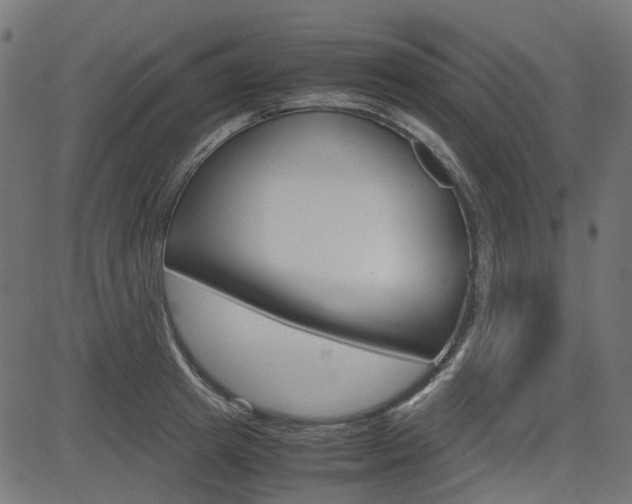 X0000082950849200702011046