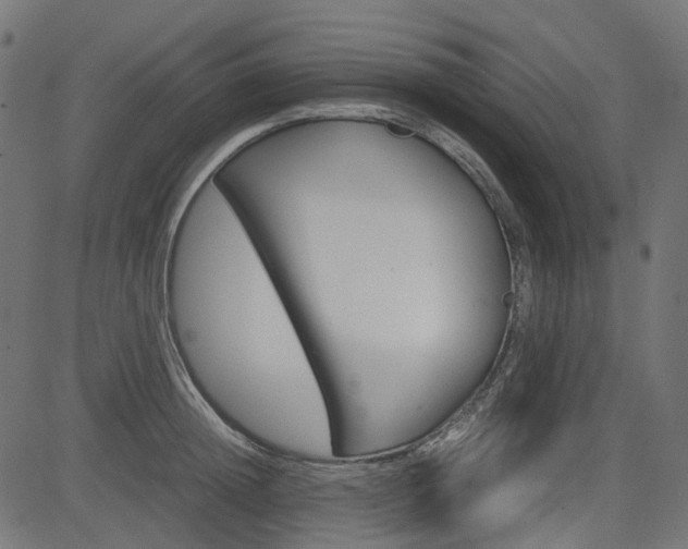 X0000082950852200702011046