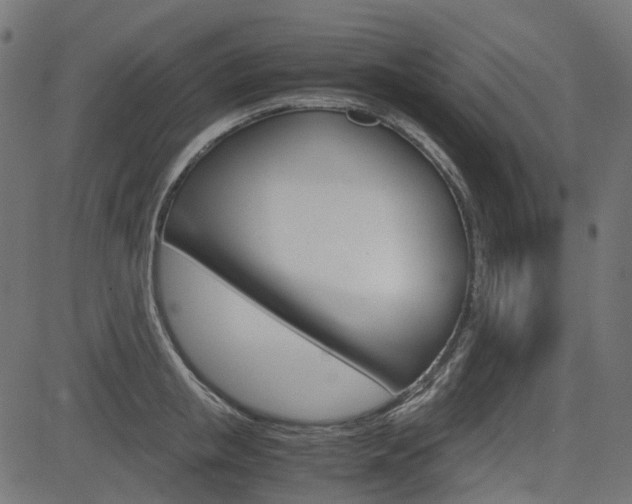X0000082950853200702011046