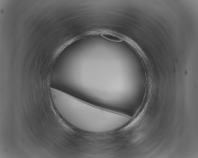 X0000082950857200702011046