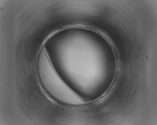X0000082950858200702011046