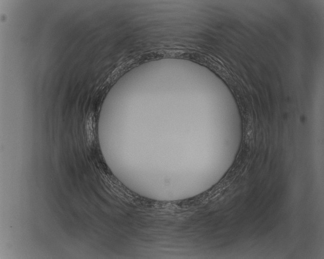 X0000082950866200702011045