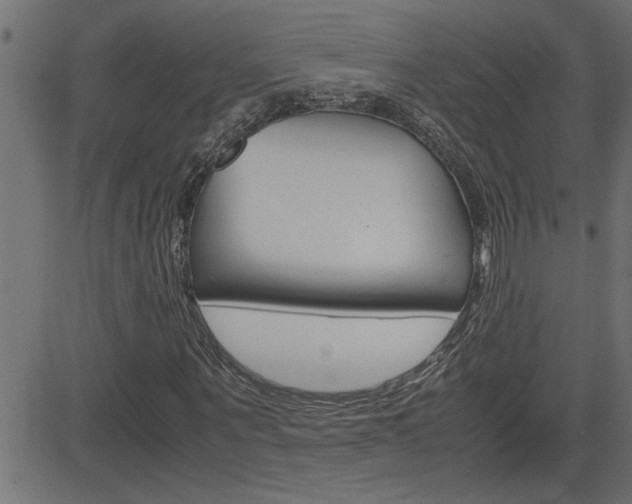 X0000082950867200702011045