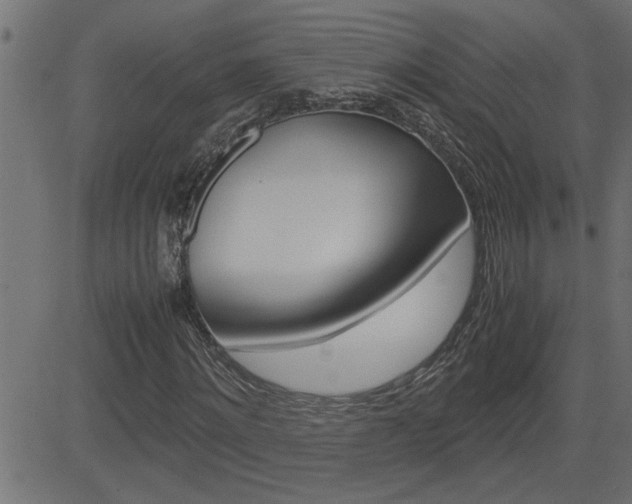 X0000082950868200702011045