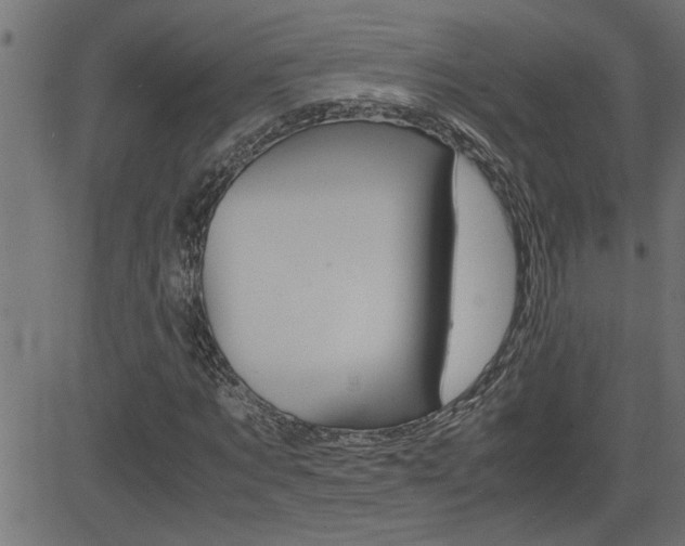 X0000082950869200702011045