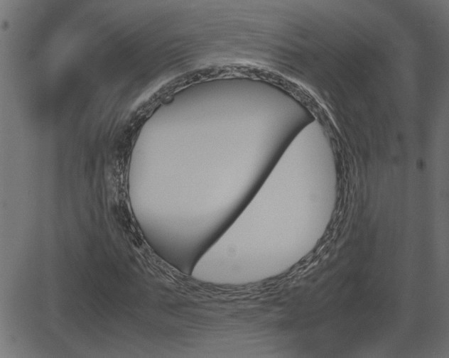 X0000082950871200702011045