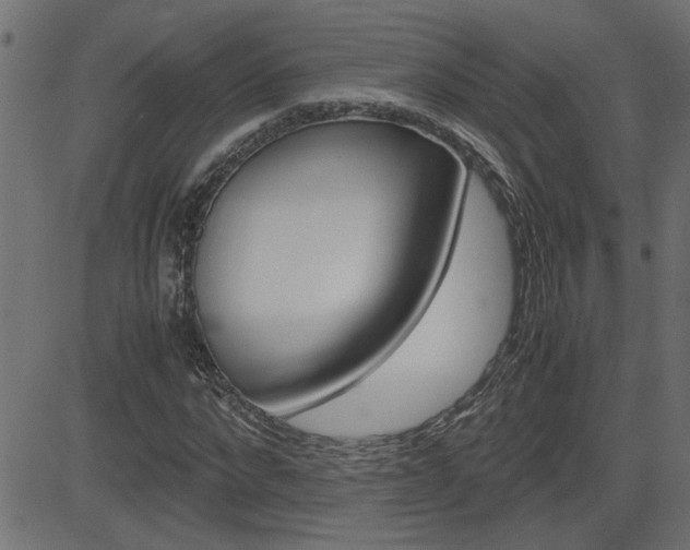 X0000082950872200702011045