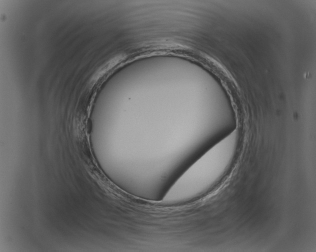 X0000082950873200702011045