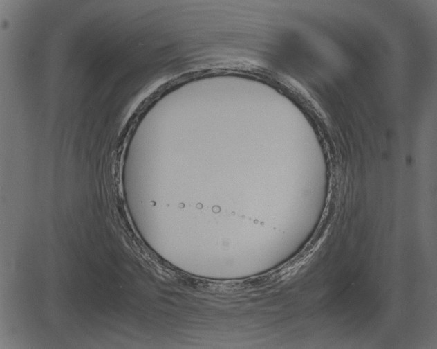 X0000082950875200702011045