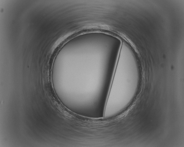 X0000082950877200702011045