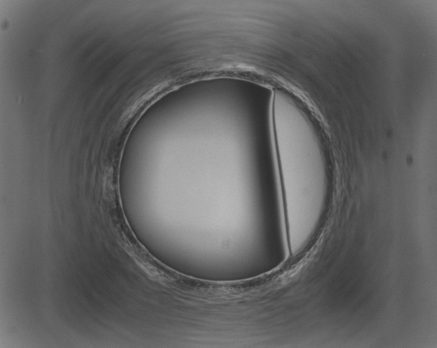 X0000082950881200702011045