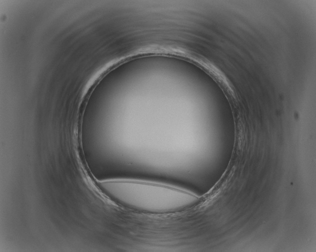 X0000082950896200702011045