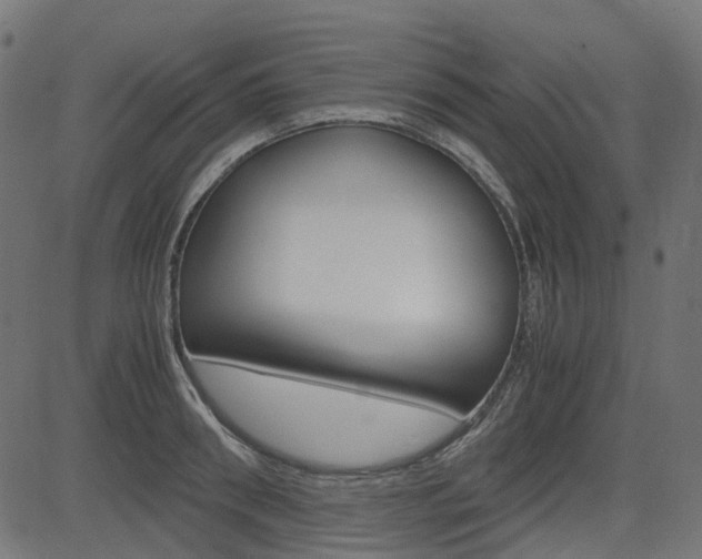 X0000082950898200702011045