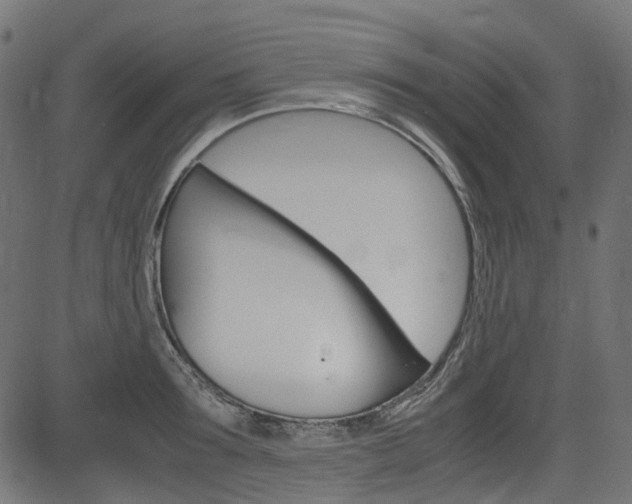 X0000082950899200702011045