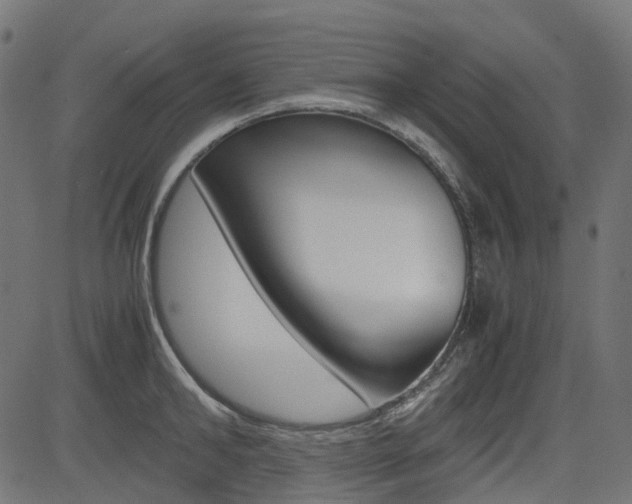 X0000082950902200702011045