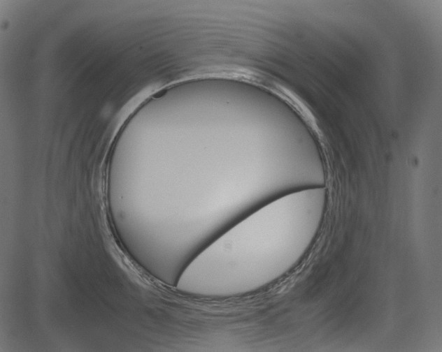 X0000082950907200702011045